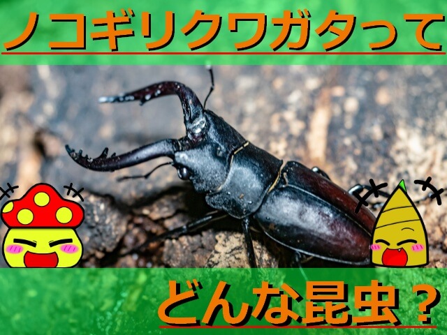 Thumbnail of post image 078